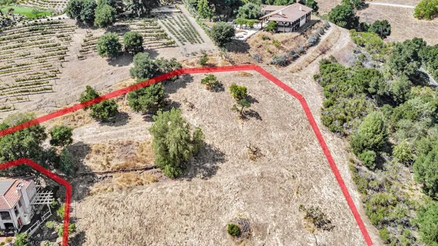 a view of a flower arrangement in backyard