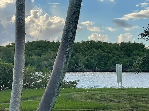 a view of a garden