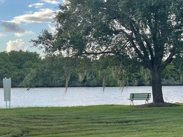 a view of a park with large trees