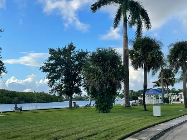 a view of three trees and a yard
