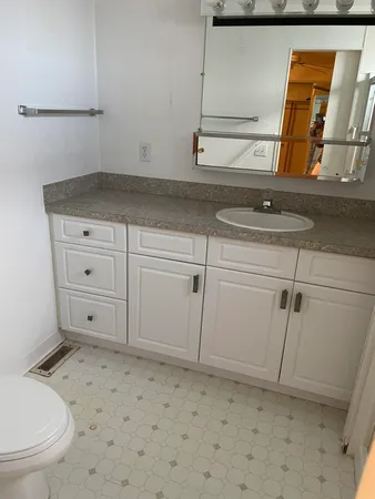 a bathroom with a sink a toilet and vanity