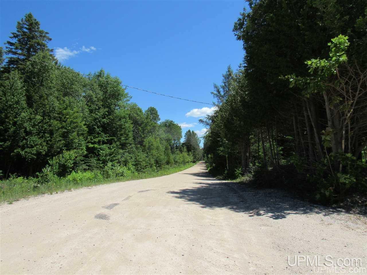 W16487 Mcconnell Road Curtis, MI 49820 - Photo 30 of 37