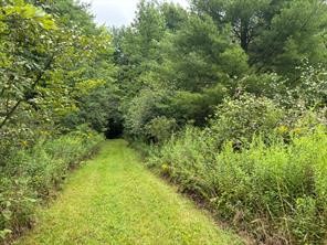 10053 Browntown Road Lindley, NY 14858 - Photo 10 of 13