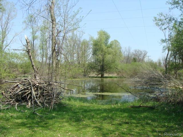 3602 Payne Road Attica, MI 48412 - Photo 23 of 24 3602 Payne Rd. 004