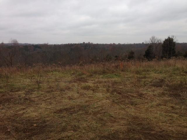 762 New Dividing Ridge Road Mount Olivet, KY 41064 - Photo 5 of 7 Gallery Image 5
