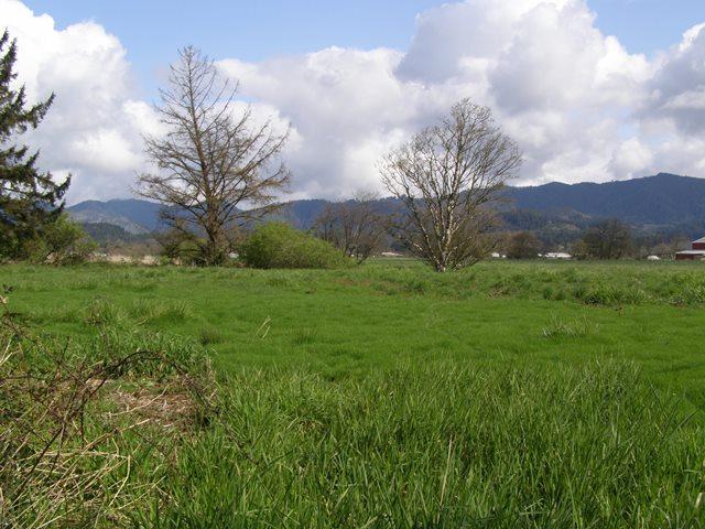 Vl Hadley Road North Tillamook, OR 97141 - Photo 6 of 18 Prop&View.JPG