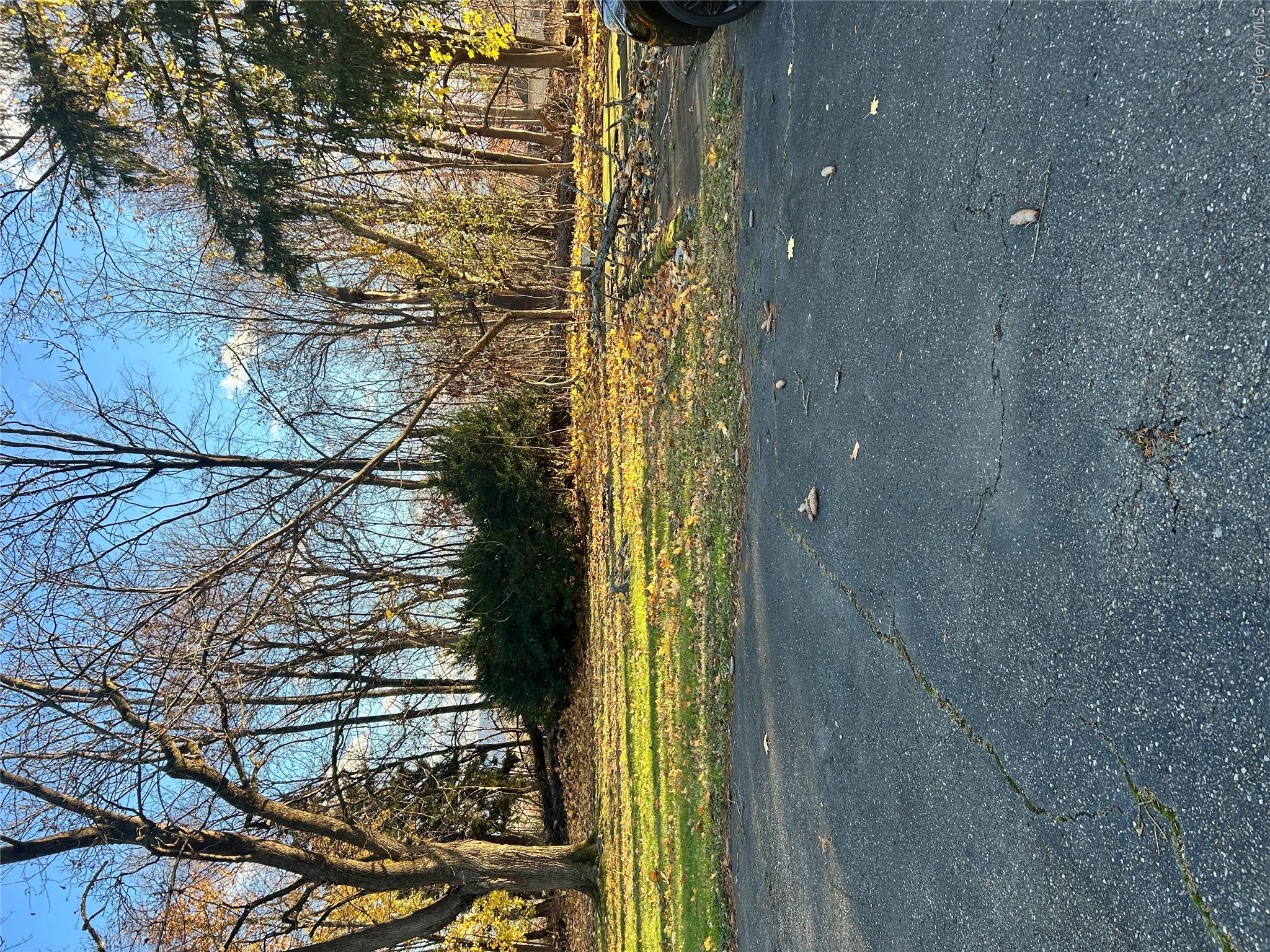 853 Little Britain Road New Windsor, NY 12553 - Photo 19 of 22 a view of a yard with a tree