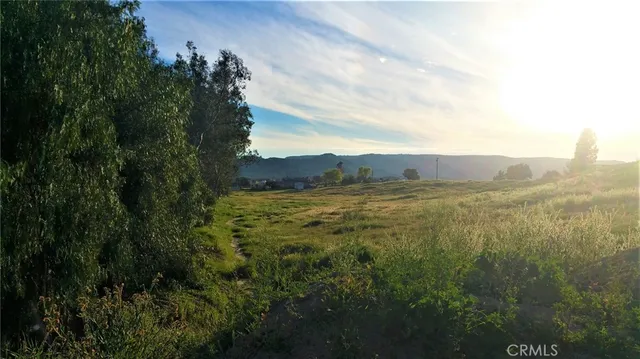 a view of a lush green forest with a mountain