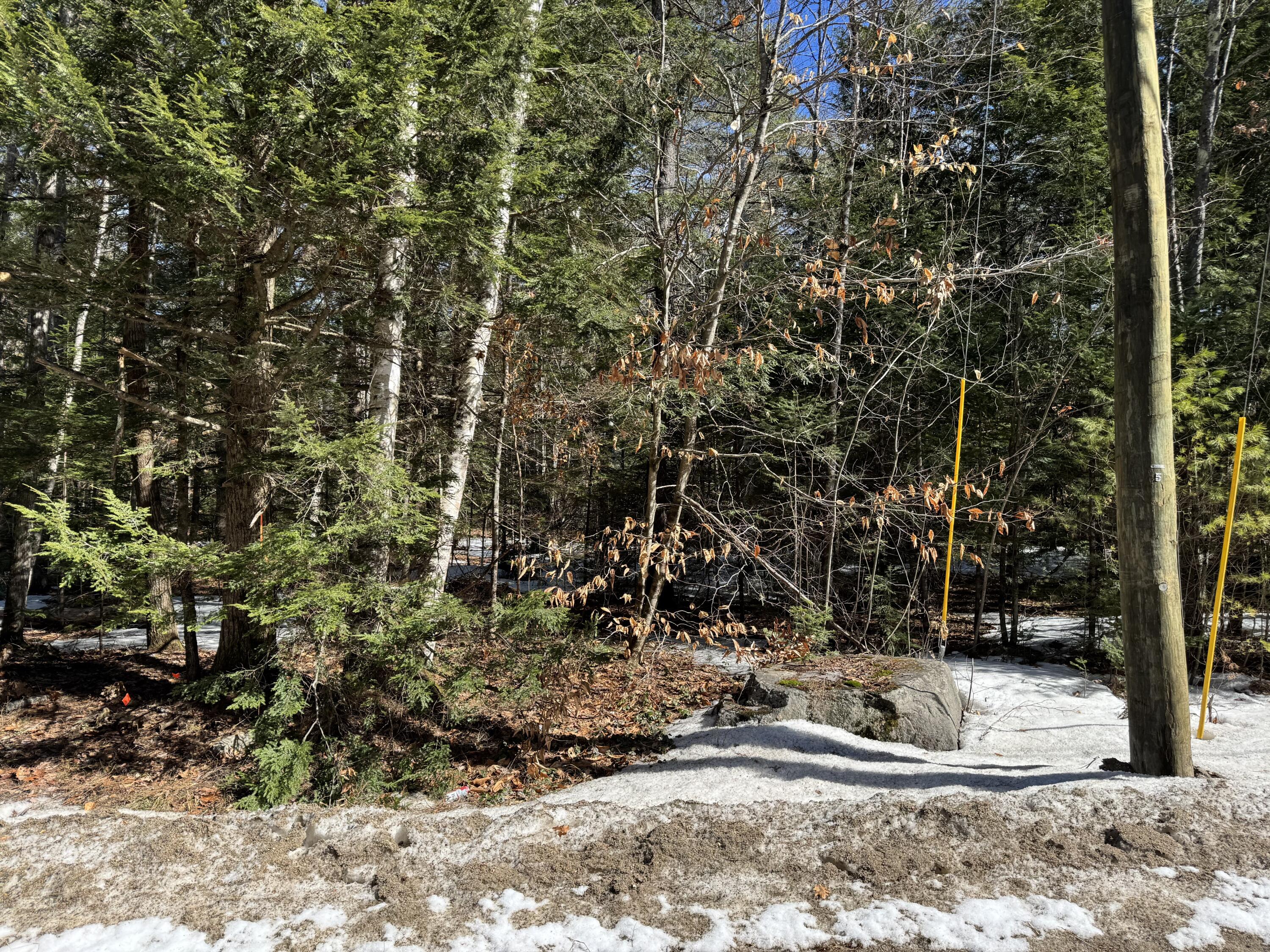 Lot 5 Lords Hill Road Brownfield, ME 04010 - Photo 13 of 20 Roadside