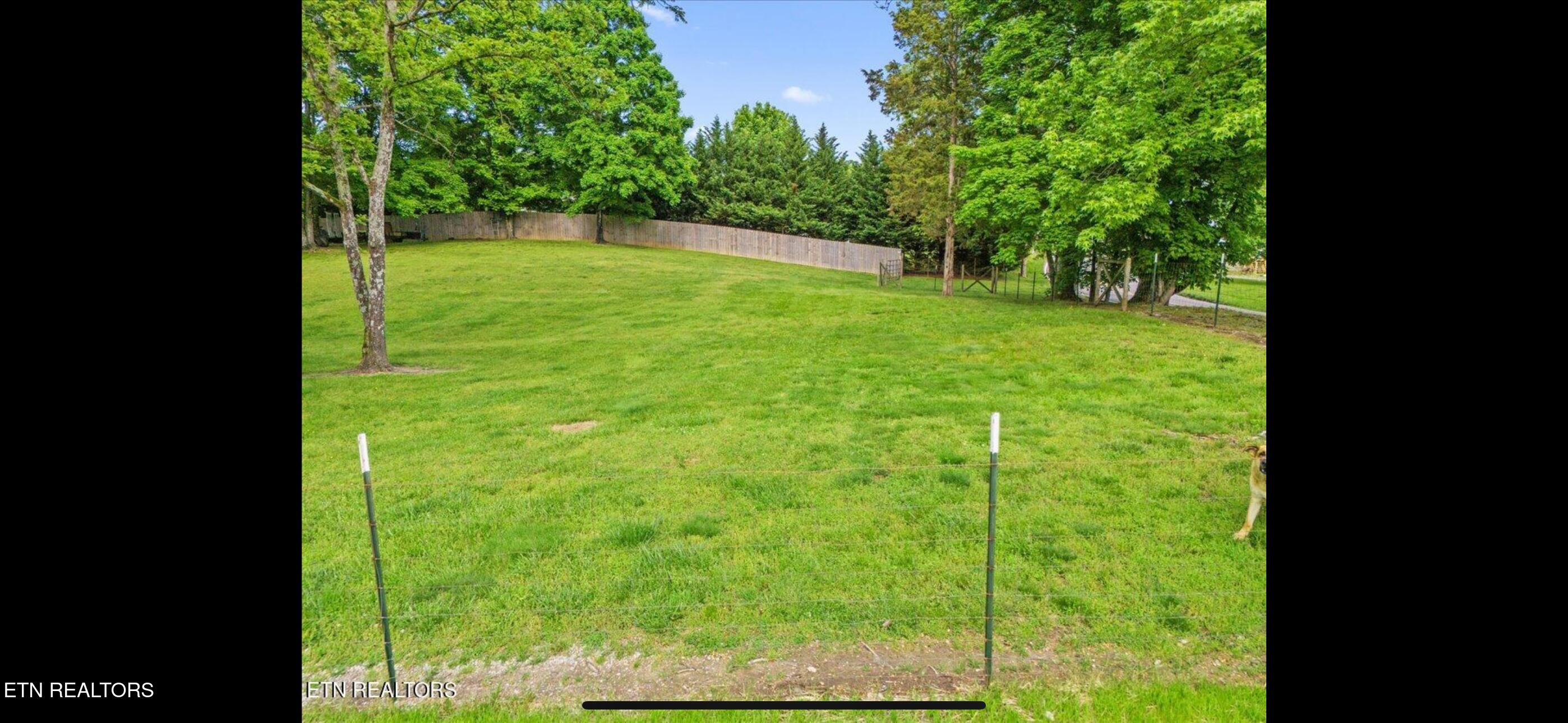 1906 Amherst Road Knoxville, TN 37909 - Photo 2 of 5 IMG_4778