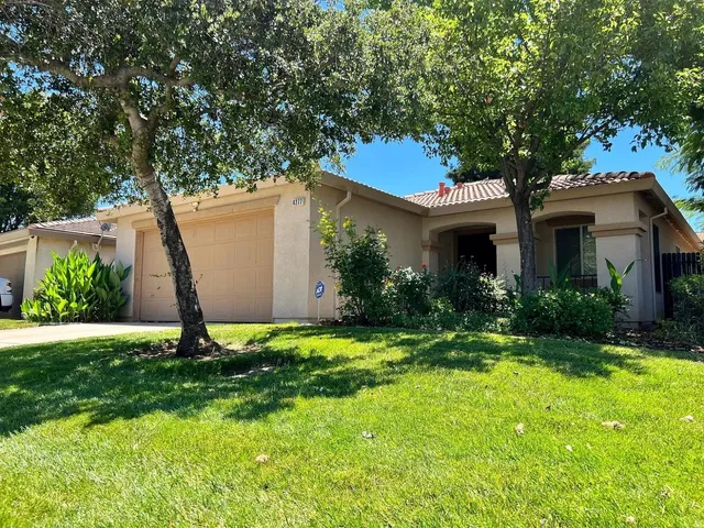 a house that has a tree in it
