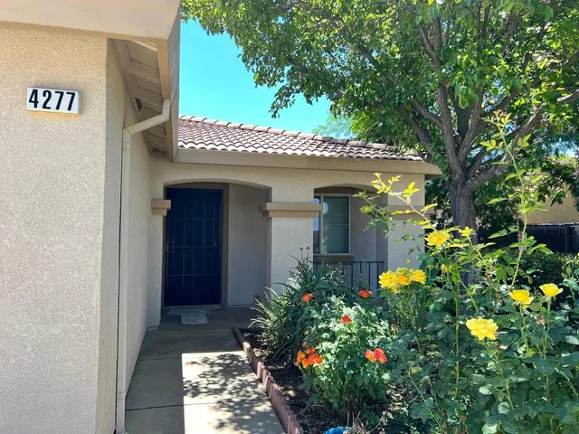 a view of a house with potted plants