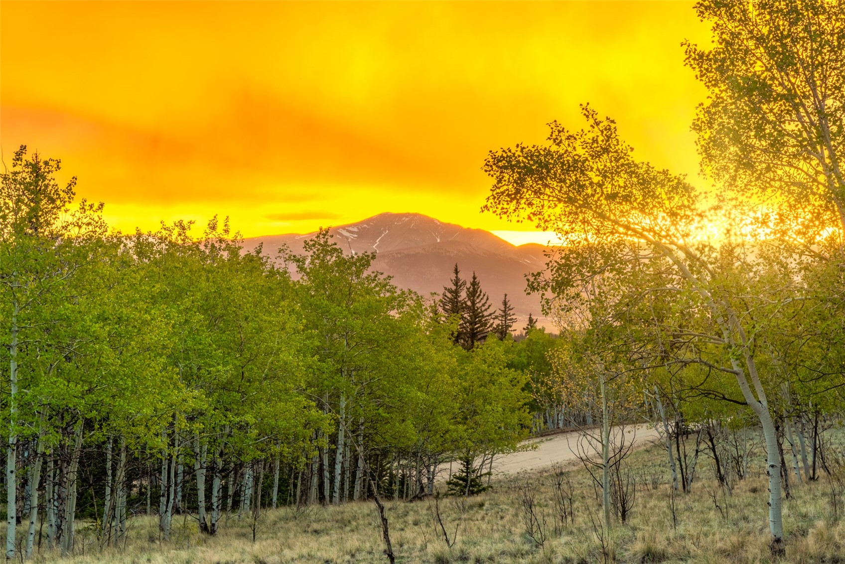 847 Palomino Road Como, CO 80456 - Photo 47 of 50