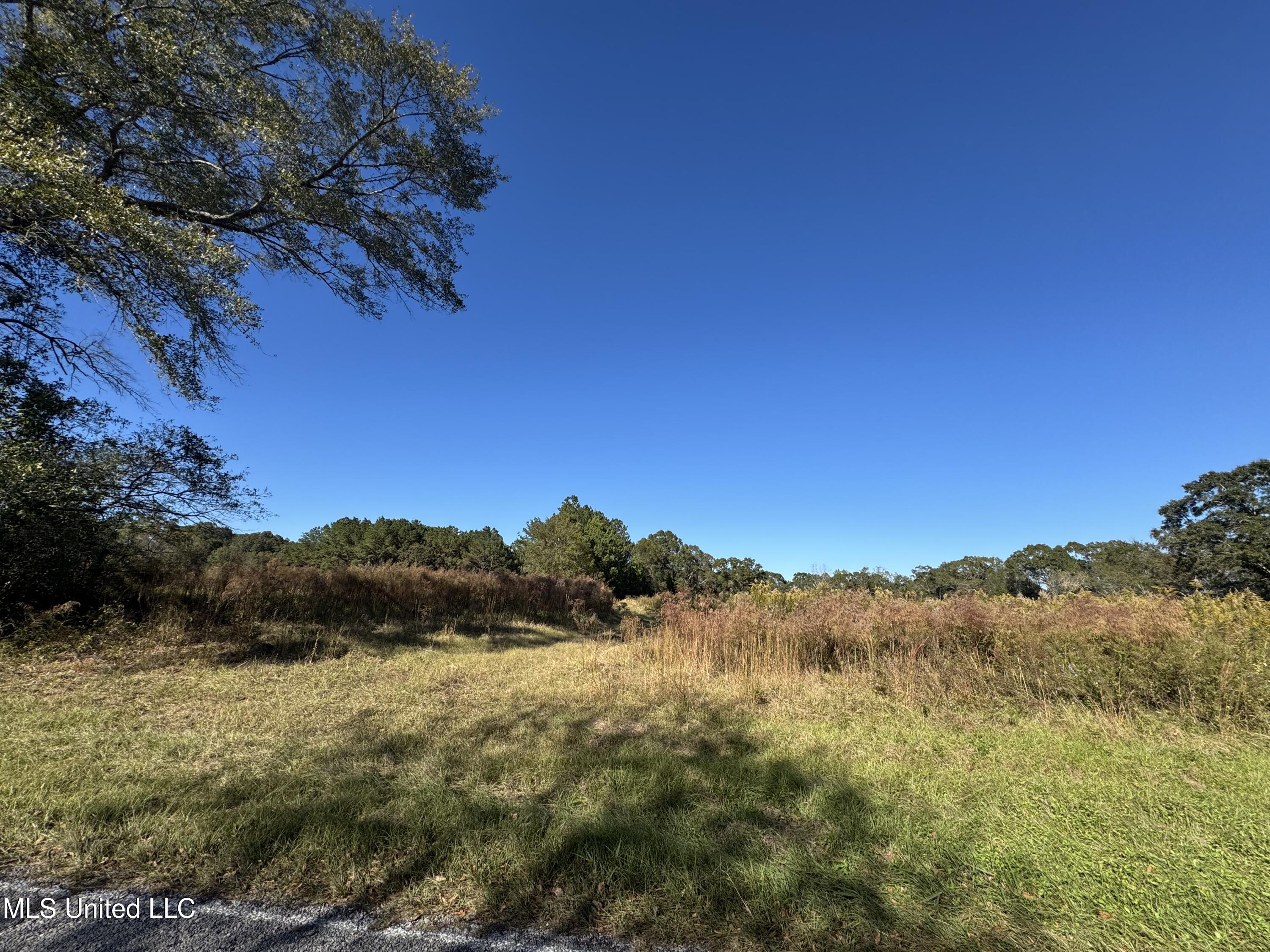 128 Hurricane Creek Road Lumberton, MS 39455 - Photo 2 of 2 Street view of easement.