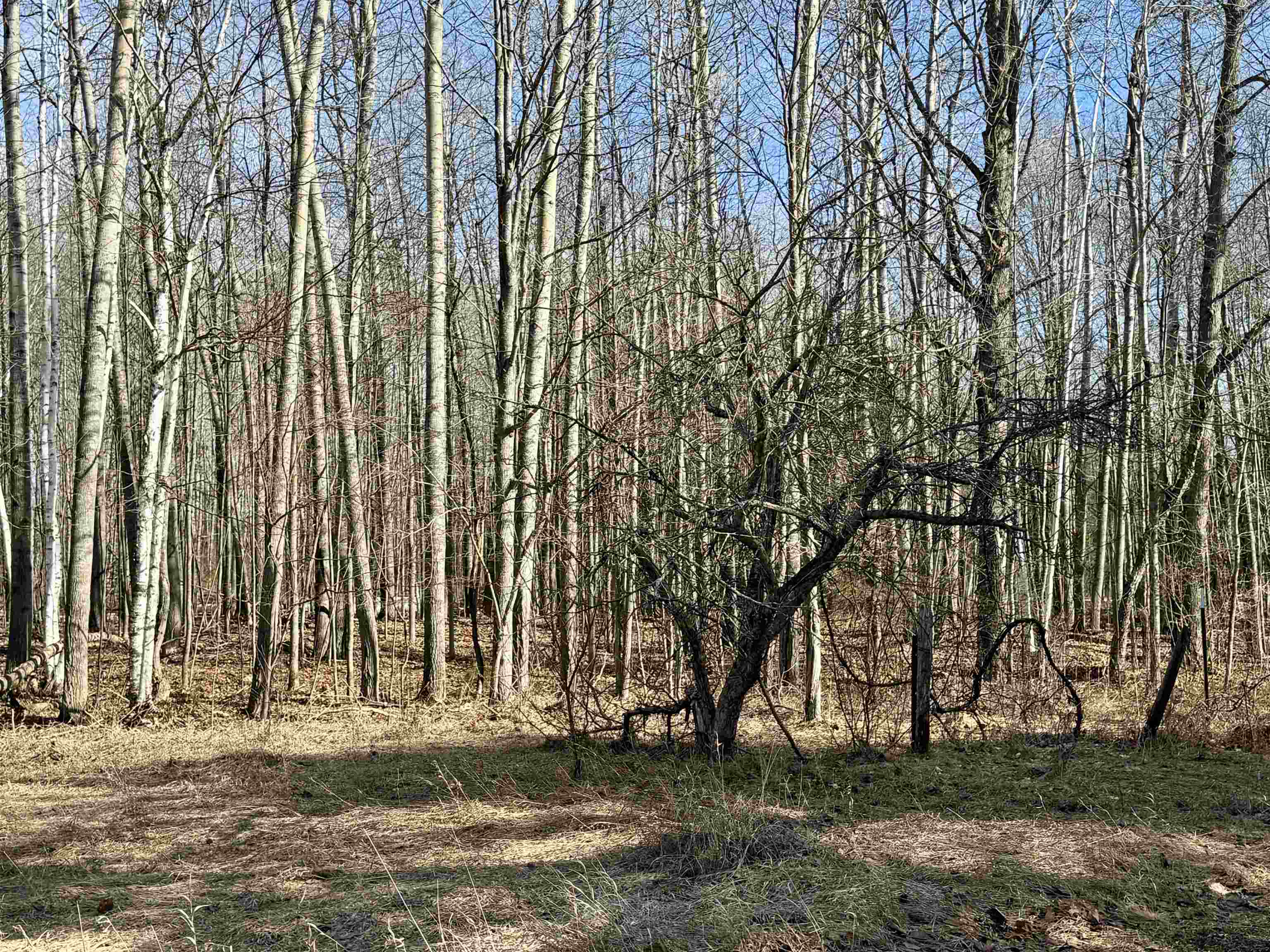 5810 Whittemore Road Whittemore, MI 48770 - Photo 27 of 33