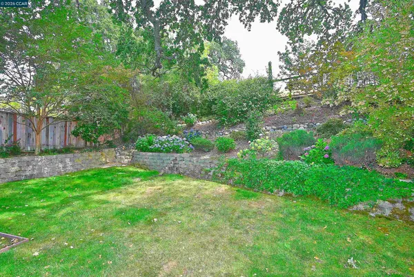 a view of a backyard with plants and large trees
