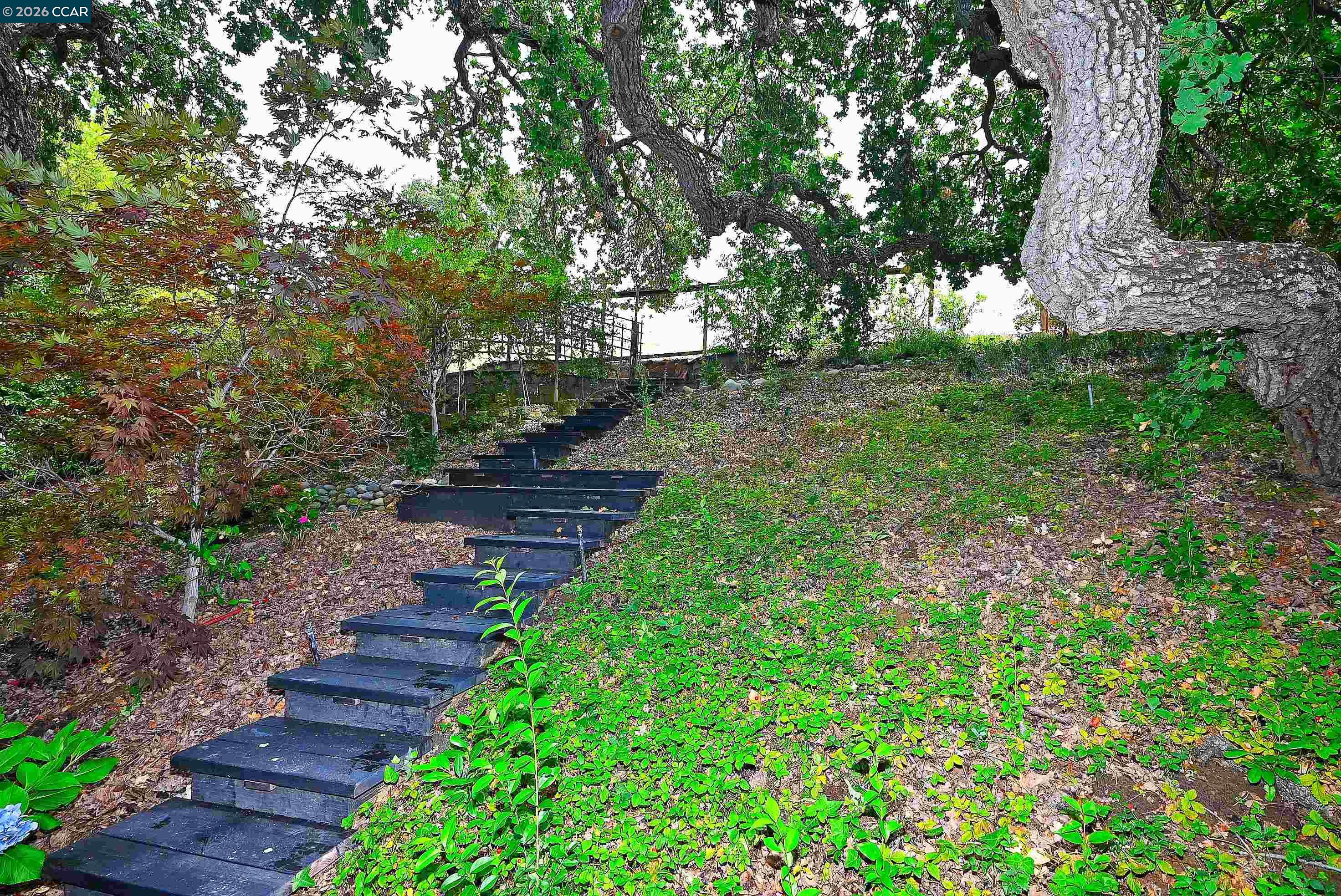 1239 Sunrise Ridge Drive Lafayette, CA 94549 - Photo 41 of 59