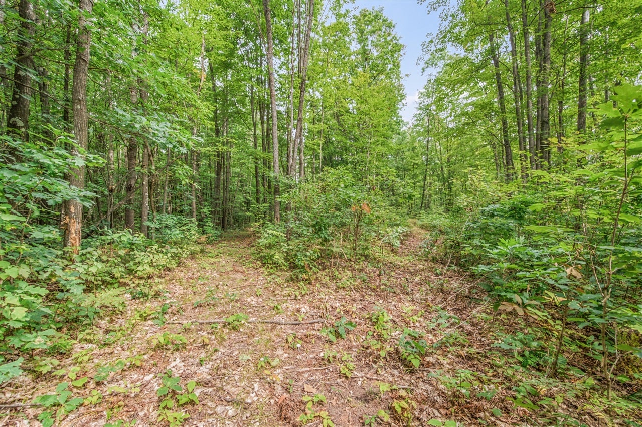 5 8 Mile Road Remus, MI 49340 - Photo 3 of 17 Gallery Image 3