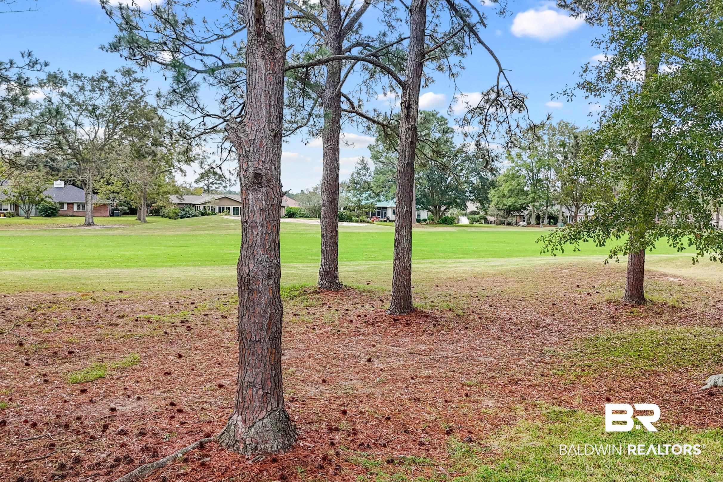 9243 Lakeview Drive Foley, AL 36535 - Photo 44 of 54