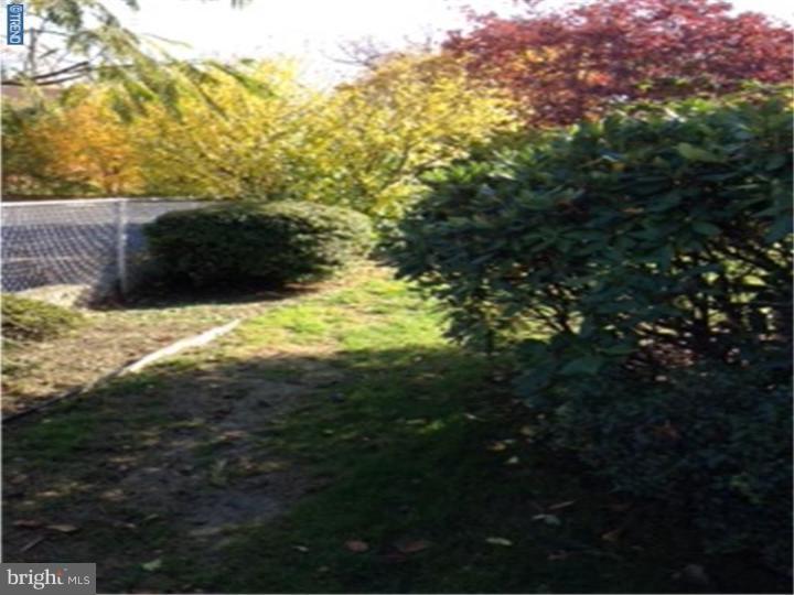 9 East Roland Road Brookhaven, PA 19015 - Photo 21 of 21 Back Yard