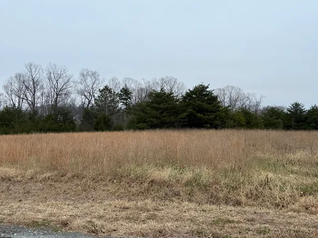 a view of a lake view
