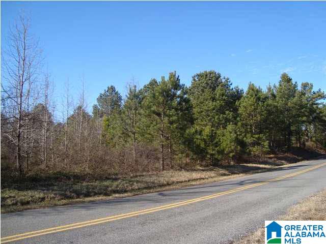 29 Highway Ac Al, Unit 33 Oneonta, AL 35121 - Photo 5 of 23