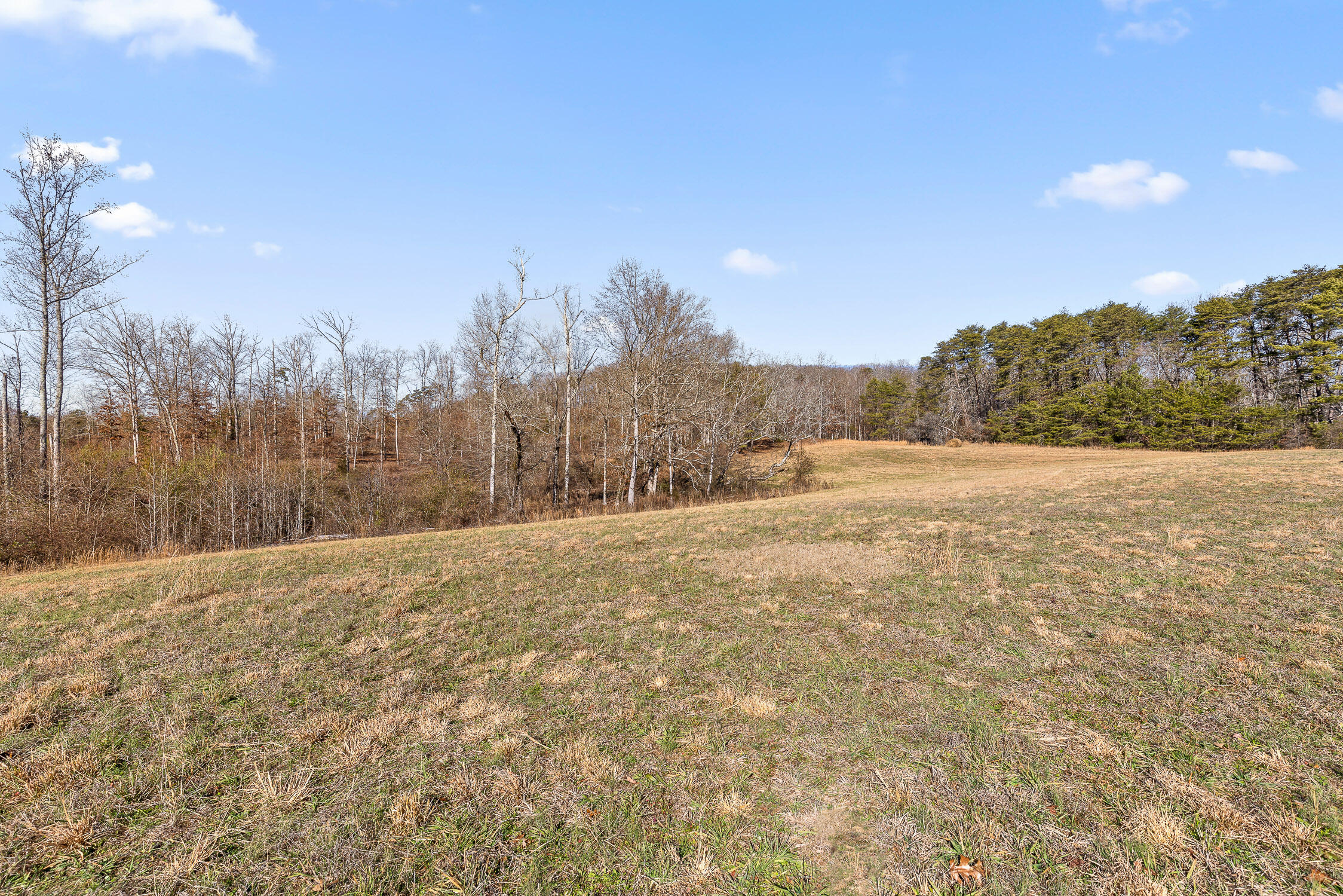 0 Blue Sky Drive, Unit TRACT 2D Dayton, TN 37321 - Photo 7 of 23 Big Sky-2