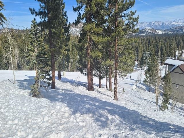 190 Juniper Road Mammoth Lakes, CA 93546 - Photo 2 of 29