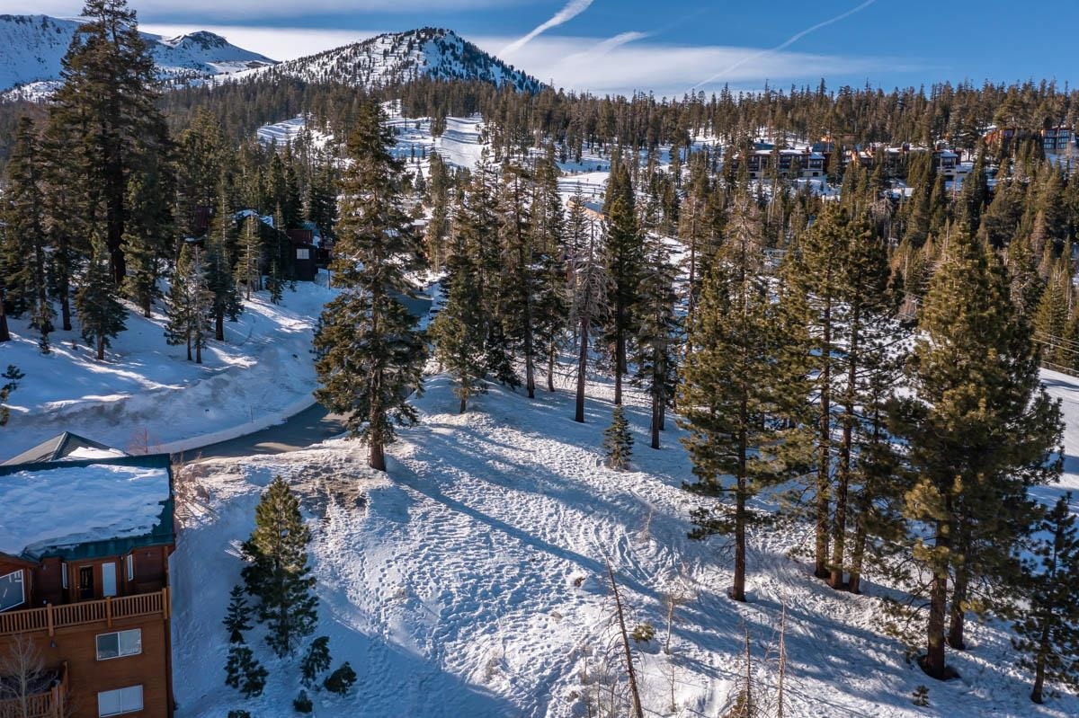 190 Juniper Road Mammoth Lakes, CA 93546 - Photo 26 of 29