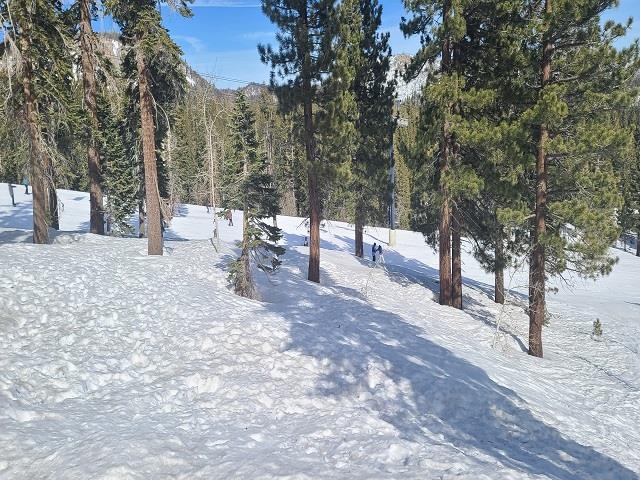 190 Juniper Road Mammoth Lakes, CA 93546 - Photo 3 of 29