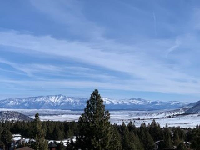 190 Juniper Road Mammoth Lakes, CA 93546 - Photo 4 of 29