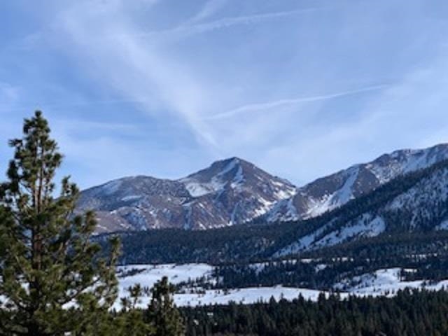 190 Juniper Road Mammoth Lakes, CA 93546 - Photo 5 of 29