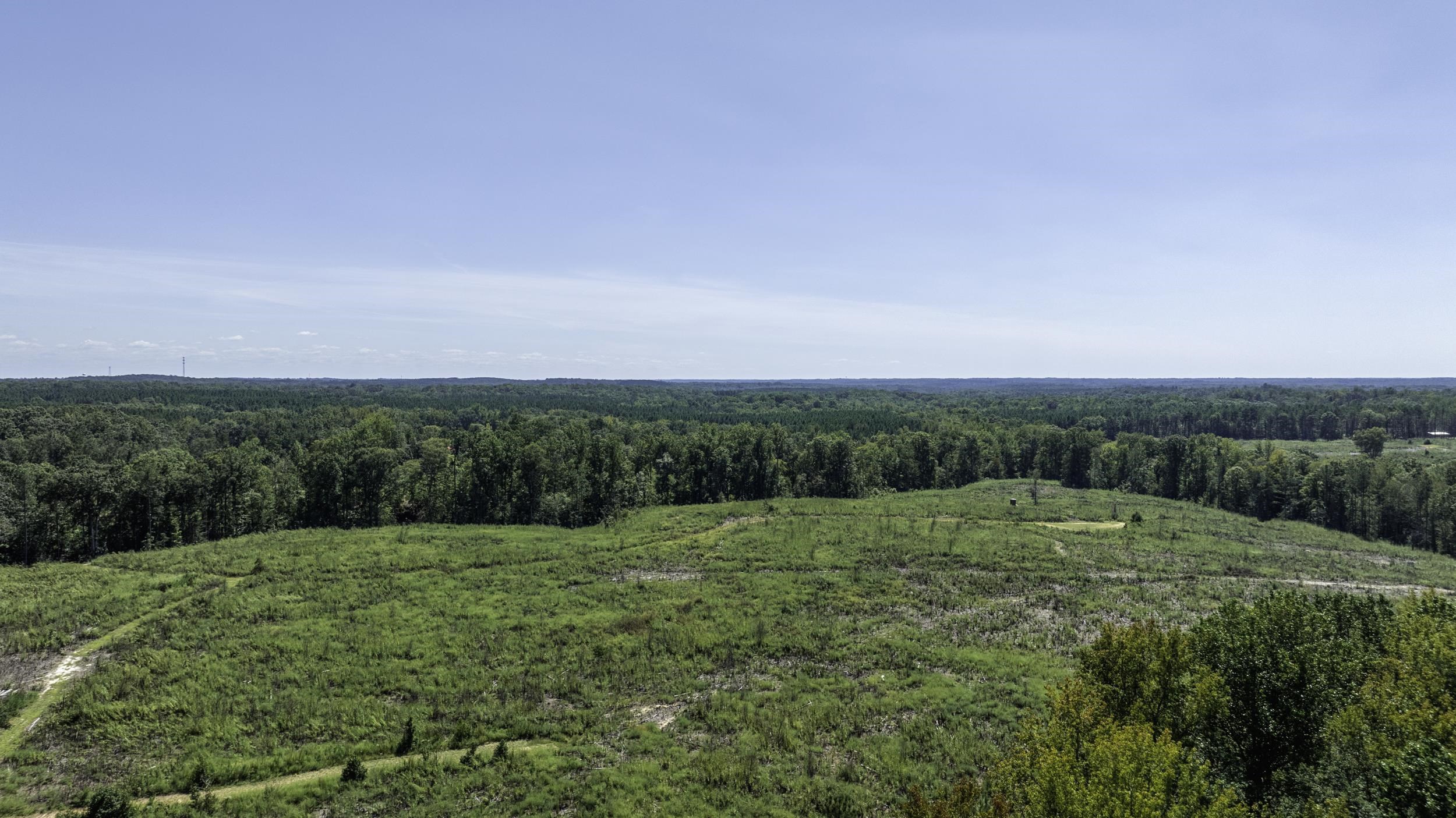 Cowens Bridge Road Gray Court, SC 29645 - Photo 19 of 24