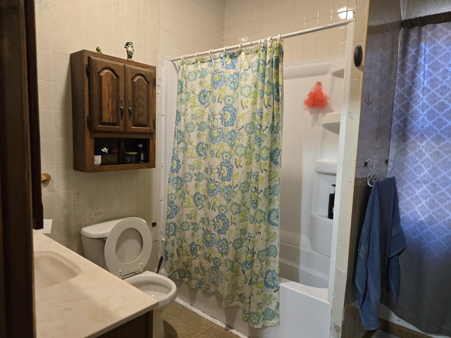 953 Elizabeth Street Elgin, IL 60120 - Photo 8 of 10
