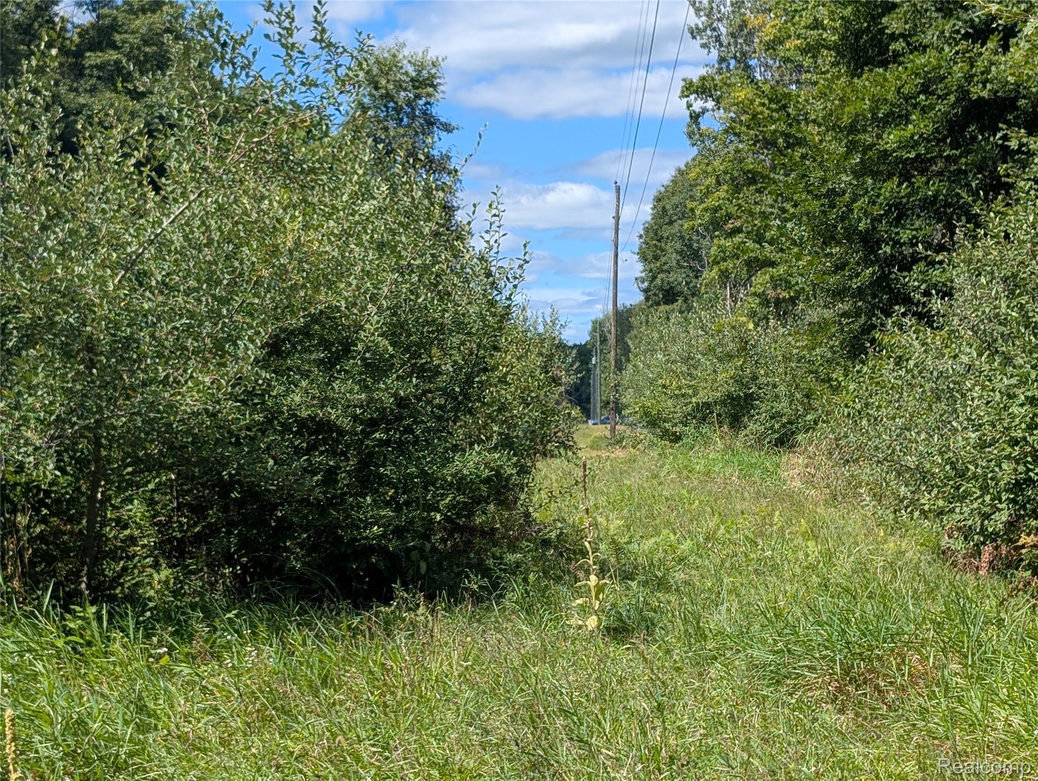0 South Maywood Road Ashley, MI 48806 - Photo 11 of 32 PXL_20250829_182825079.MP.jpg