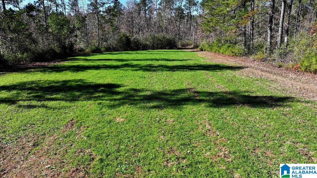 200 Kelly Creek Road Odenville, AL 35120 - Photo 27 of 47