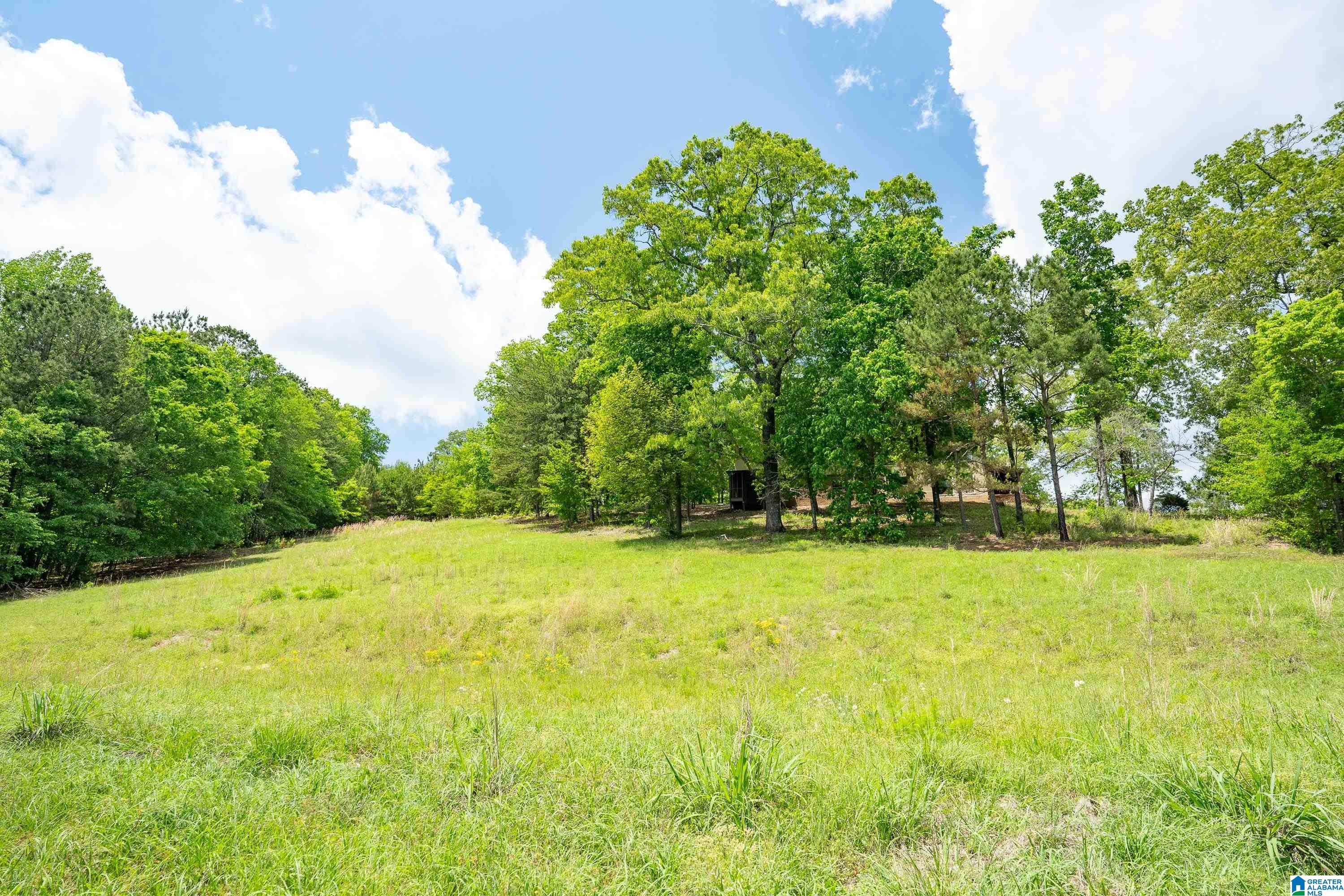 297 Cain Road Chelsea, AL 35043 - Photo 14 of 33