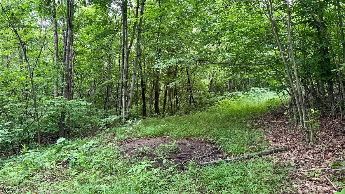 Marlott Run Road Kimbolton, OH 43749 - Photo 15 of 49