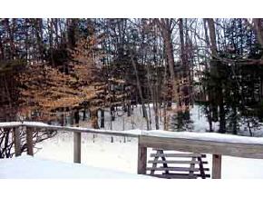 12 Cobleigh Estates Road Chesterfield, NH 03466 - Photo 4 of 4