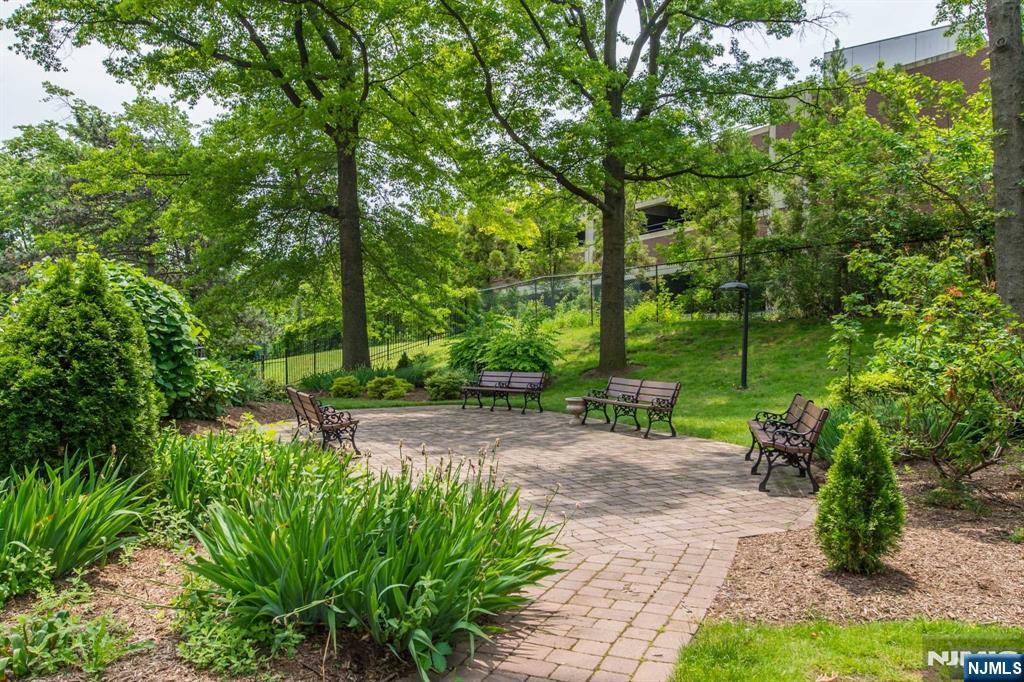 301 Beech Street, Unit 3DD Hackensack, NJ 07601 - Photo 14 of 16 a view of a park with large trees