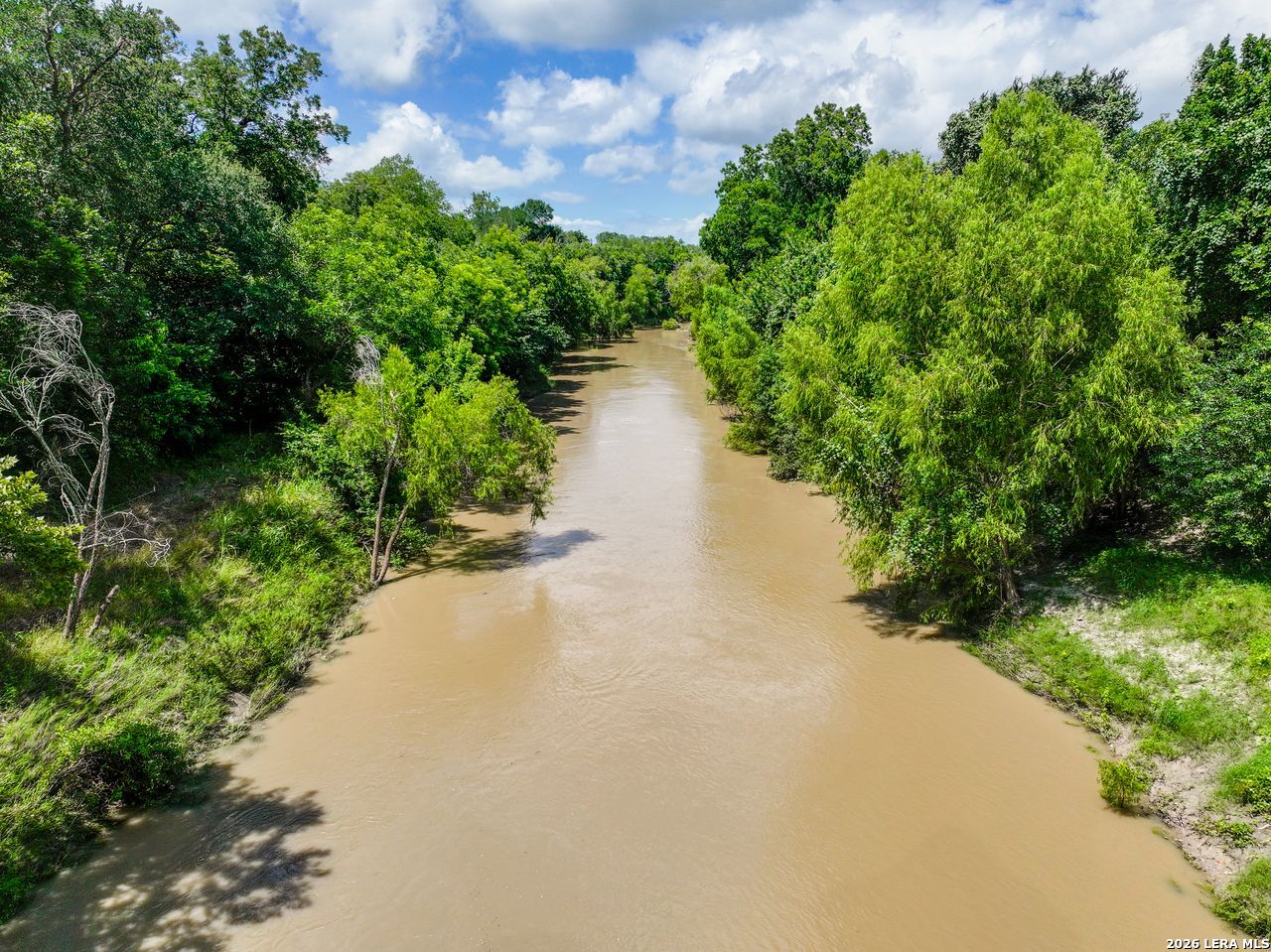 237 County Road 393 Runge, TX 78151 - Photo 5 of 19
