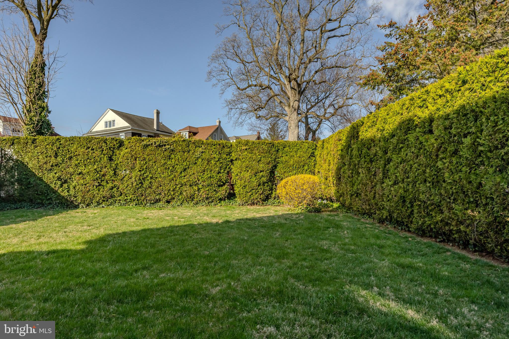 1210 West Darby Road Havertown, PA 19083 - Photo 32 of 33 a view of a big yard with potted plants and large tree