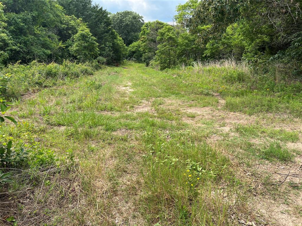 4112 VZ County Road Canton, TX 75103 - Photo 18 of 21