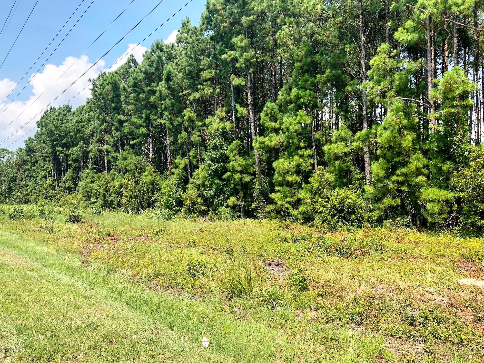 2020 Stanley Road Southwest Supply, NC 28462 - Photo 18 of 19 Road View