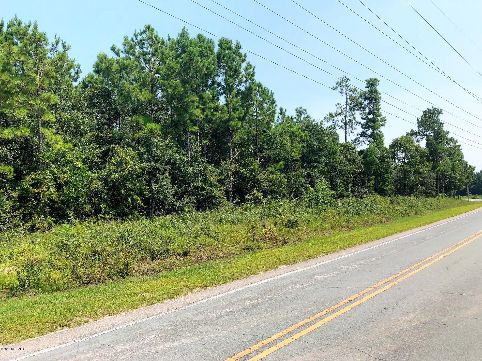 2020 Stanley Road Southwest Supply, NC 28462 - Photo 19 of 19 Roadview 2