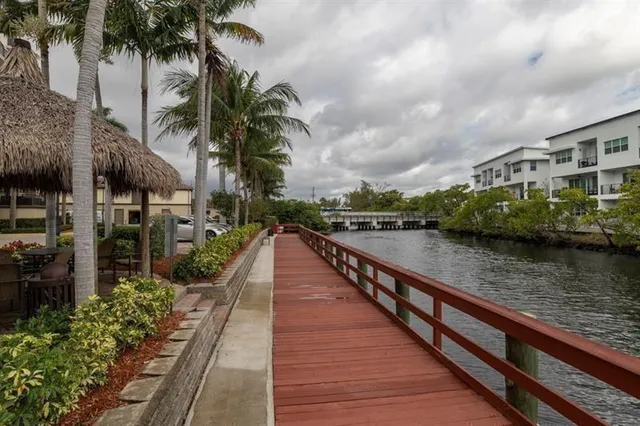 a view of a park with plants and trees