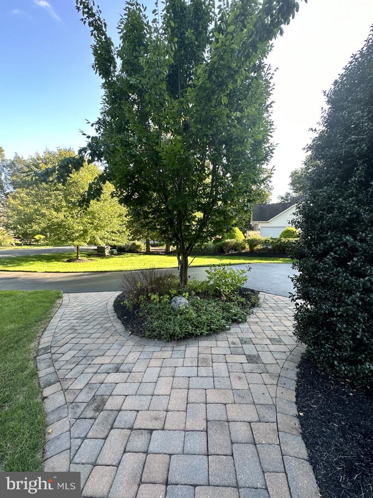 3 Bridgewater Road Farmingdale, NJ 07727 - Photo 18 of 65 Mature trees