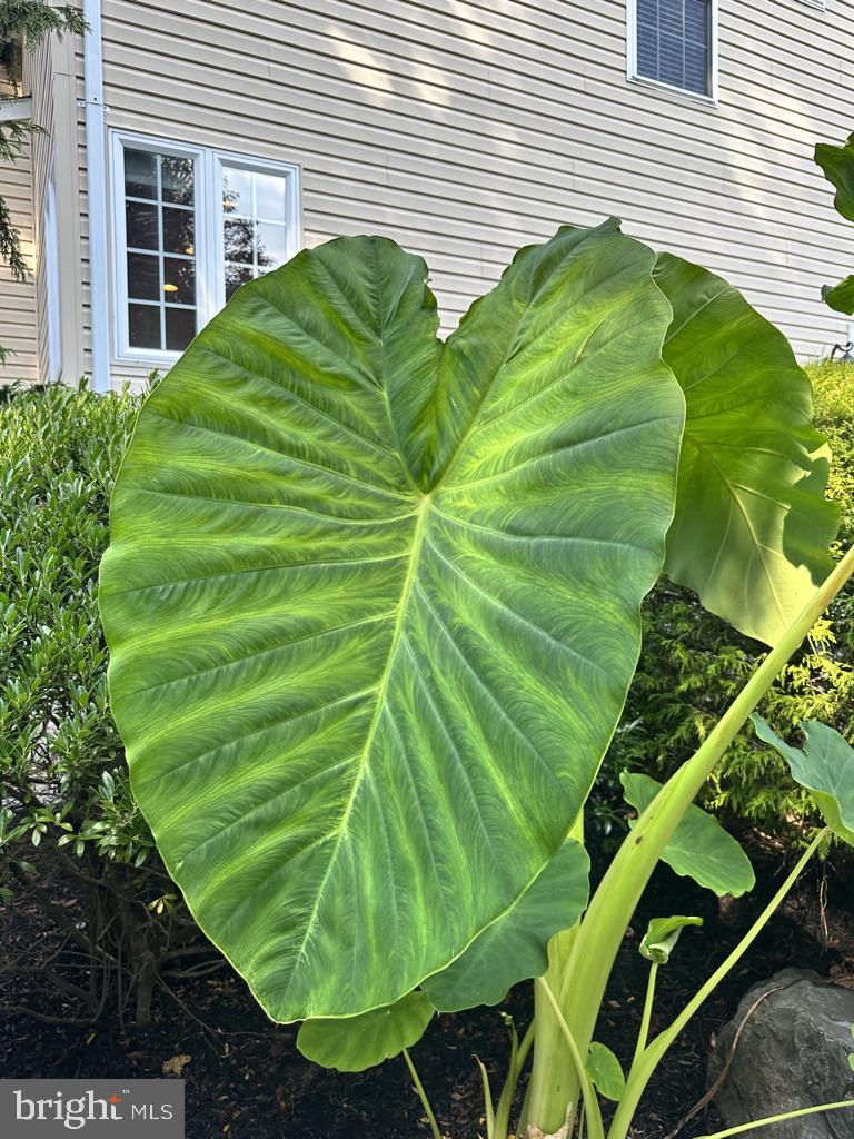 3 Bridgewater Road Farmingdale, NJ 07727 - Photo 23 of 65