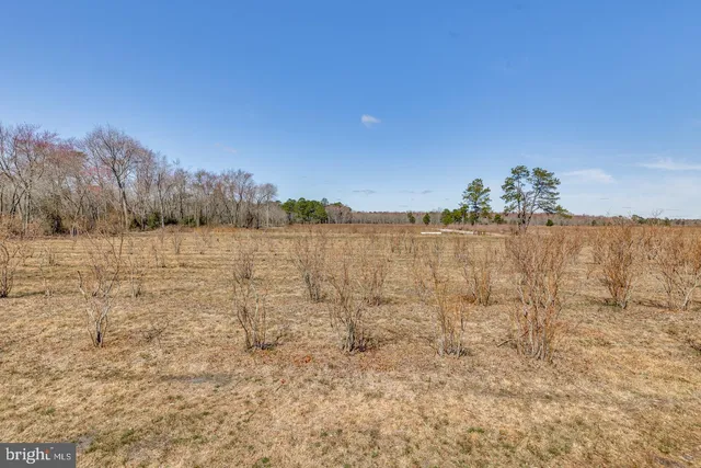 $1,250,000 | 5 Pea Patch Road, Pemberton, NJ 08068