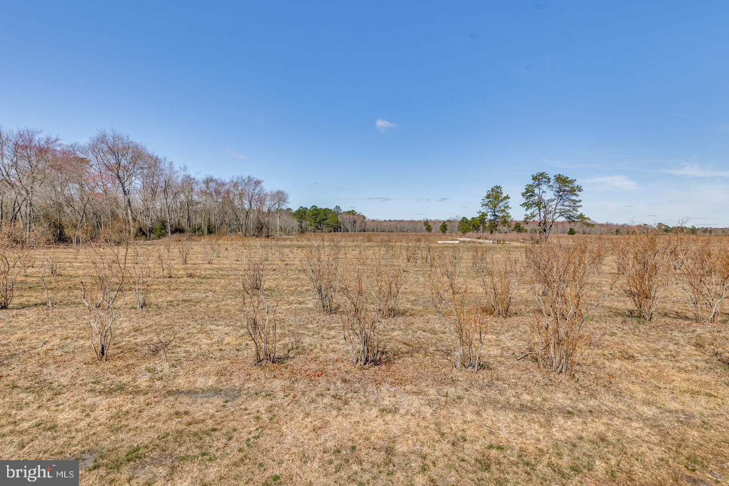 5 Pea Patch Road Pemberton, NJ 08068 - Photo 29 of 63